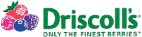 Driscoll's Logo